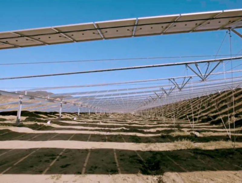 肇庆市烟草专卖局（公司）举办“法律与社会”文化沙龙活动